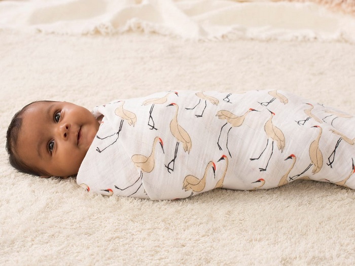 Learn How To Swaddle Your Infant To Provide Safe Sleep Premio Brasil